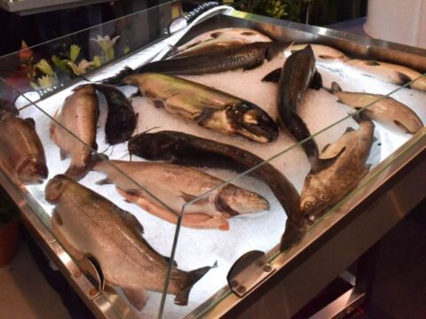 Красногорцев в кафе накормили блюдом с рыбой двухмесячной давности Новости Красногорска 